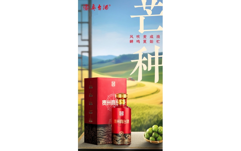 芒种-风吹麦成浪，蝉鸣夏始忙