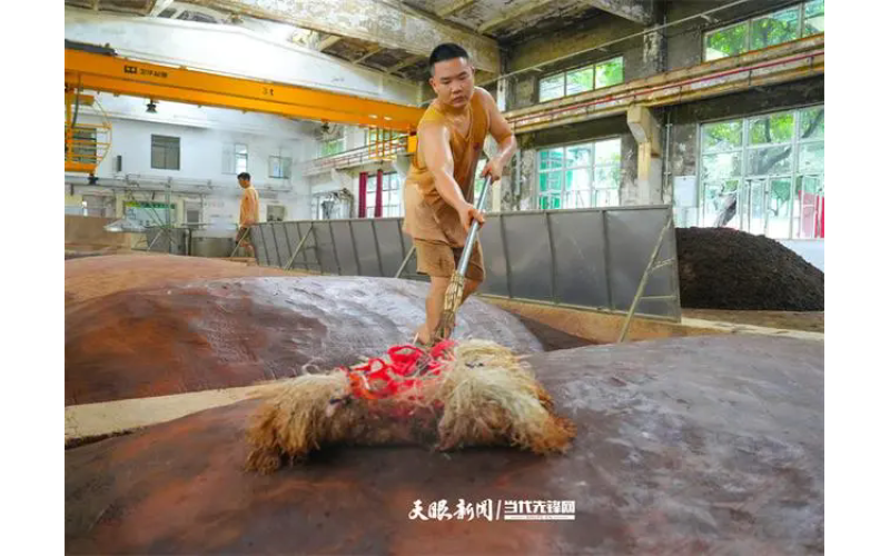 视觉茅台｜茅台酒五轮次：品质背后的匠心与坚守