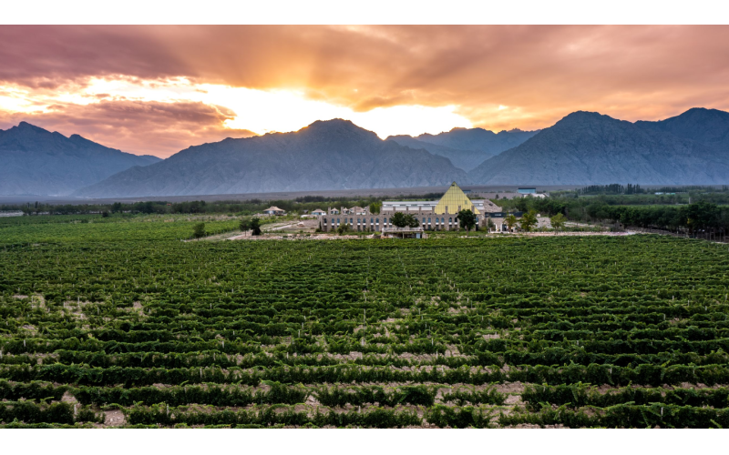 贺兰山东麓首家葡萄酒主题游牧营地开营